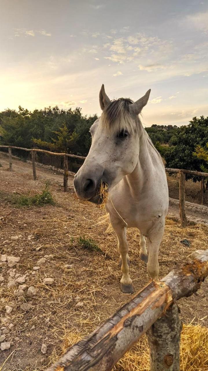 Roba Albanisi Hotel Aragona Buitenkant foto